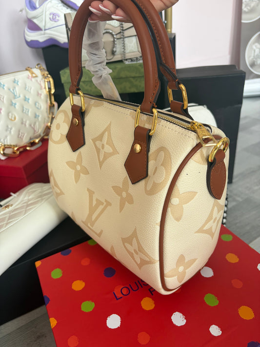 LV bag